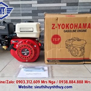 Động Cơ Xăng Z-Yokohama 6.5HP 7.5HP Cốt Thẳng Cốt Xéo